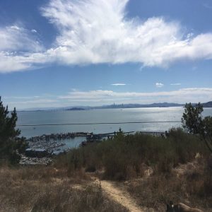 Back to San Francisco Bay