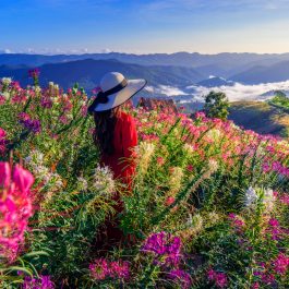 If You Were a Flower